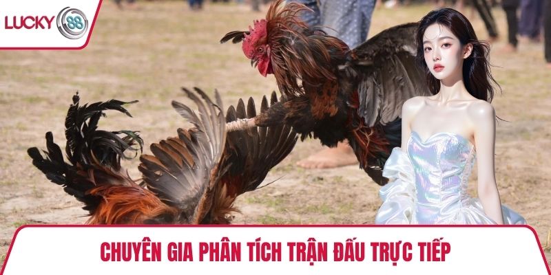 Chuyên gia phân tích trận đấu trực tiếp