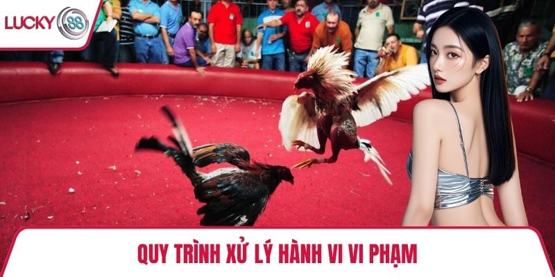 Quy trình xử lý hành vi vi phạm